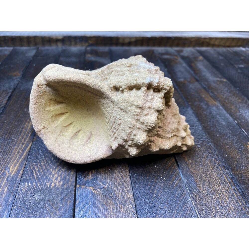 Vintage Sandstone Textured Conch Shell Figurine Paperweight